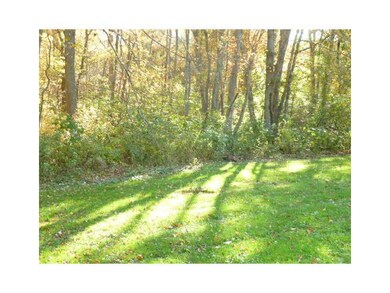 Yard/Garden.