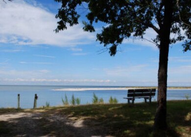 community area