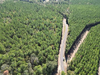 XXX Conerly Dr, McComb, MS 39648 - photo 4