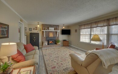 1051 Ray Mountain Rd, Ellijay, GA 30536 - photo 3