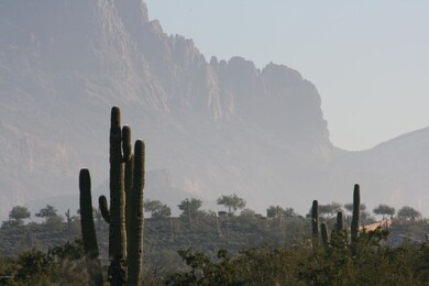 Unforgetable Vistas