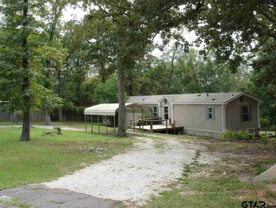 13738 County Road 2241, Tyler, TX 75707 - photo 2