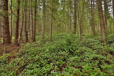 3175 E Andreason Rd, Langley, WA 98260 - photo 7