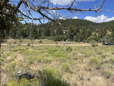 Looking back toward north fork rd