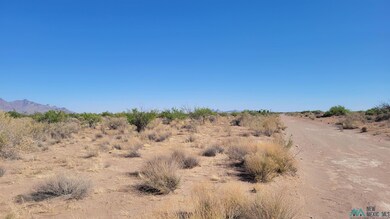000 SW Majestic View Rd, Deming, NM 88030 - photo 3
