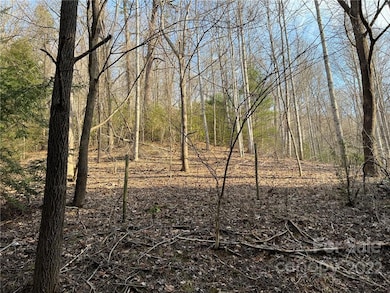 999 Sleepy Gap Rd unit 6, Arden, NC 28704 - photo 7