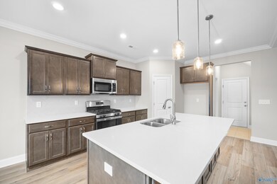 3110 Henry Rd SE, Decatur, AL 35603 - photo 3