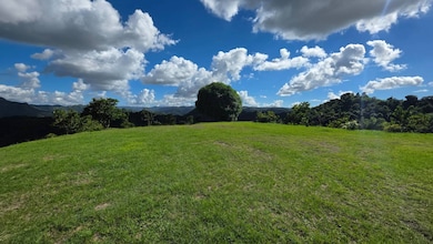 Bo. Río Hondo Carr 156 Km 2 5 Hm 29 4 Sector La Junc, Comerío, PR 00782 - photo 4