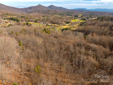 99999 Bay Horse Trail, Candler, NC 28715 - photo 5