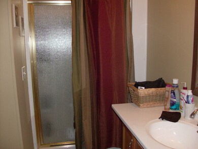 Master Bath - view #1 Step-in Shower