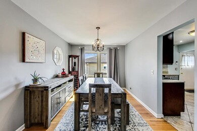 366 N Adele St, Elmhurst, IL 60126 - photo 4