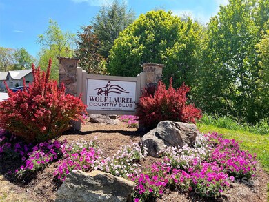 TBD Goldenleaf Rd unit 74, Egypt, NC 28754 - photo 3