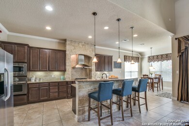 3907 Firebush, San Antonio, TX 78261 - photo 6