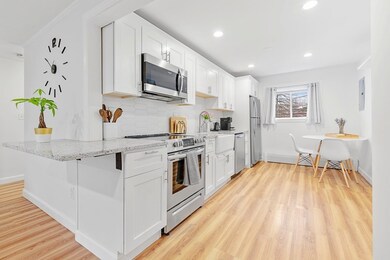 56 Bryon Rd unit 3, Chestnut Hill, MA 02467 - photo 3