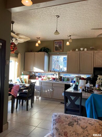 209 Hudson St, Lincoln, IL 62656 - photo 6