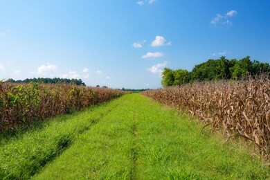 Home Place, Edison, GA 39846 - photo 7