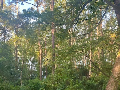 106 Creek Cir, Eufaula, AL 36027 - photo 7