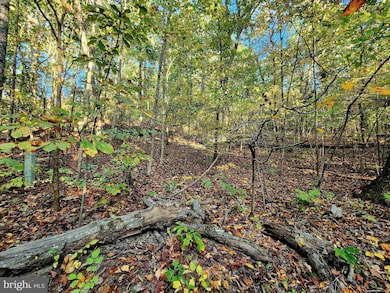 Lots 3 and 4 Ernest Robinson Rd, Marshall, VA 20115 - photo 7