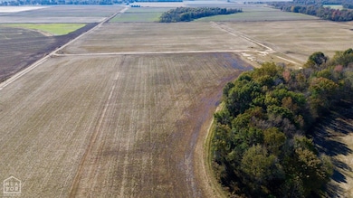 0 State Highway 328, Reyno, AR 72462 - photo 4