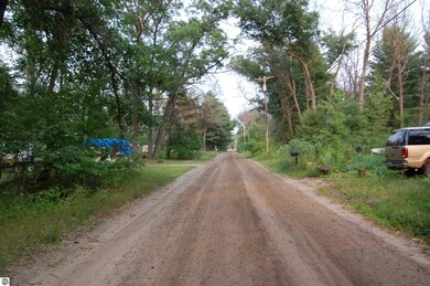 LOT 21-22 George St unit 21-22, Skidway Lake, MI 48756 - photo 4