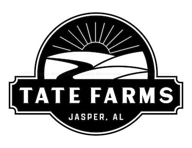 211 Wendy Way, Jasper, AL 35504 - photo 5