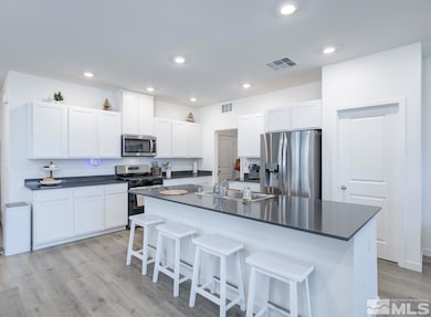 738 Butte Creek Rd, Dayton, NV 89403 - photo 7