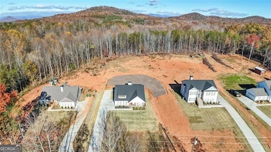 3039 Georgia 17, Clarkesville, GA 30523 - photo 5