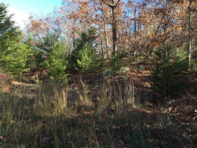 0 SE Slaty Gap Cr# 4149 Rd unit 1032281, West Fork, AR 72744 - photo 5