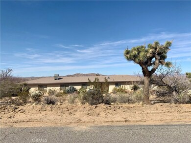 60730 Onaga Trail, Joshua Tree, CA 92252 - photo 3