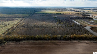 0 Wagon Wheel Rd unit 217182, Monroe, LA 71203 - photo 4