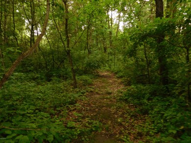 DSCN1481_2590