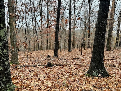 Lot 19 Block 8 Letchworth Dr, Bella Vista, AR 72714 - photo 6