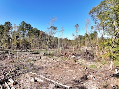 Old_Hwy_24_W_160_Acres-6