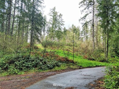 17301 17302 Hill Ct SE, Yelm, WA 98597 - photo 7