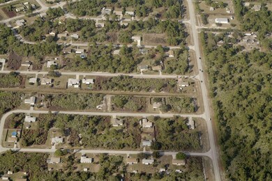 1680 palatka aerial