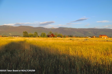 ONeil Saddlehorn-7393