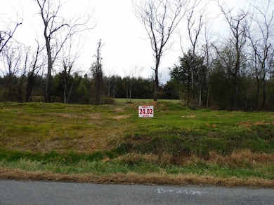 24.02 Ac Brights Rd, Gretna, VA 24557 - photo 2