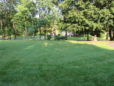 View from front patio looking towards Shelly road