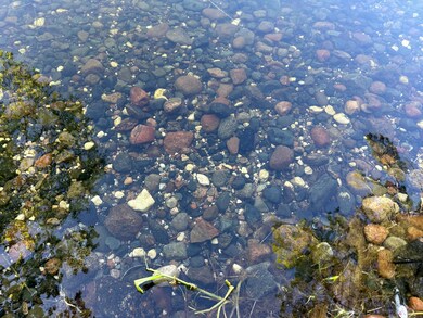 44698 Ida's Ln, Shell Lake Township, MN 56570 - photo 7