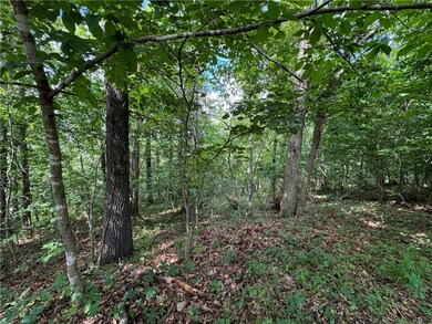 Lot 26 Ayton Ln, Bella Vista, AR 72714 - photo 7