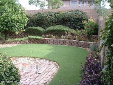 Back yard