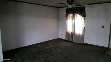 703 Kay St, Reed City, MI 49677 - photo 3