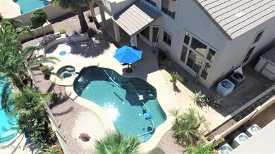 Relax in the Back Yard