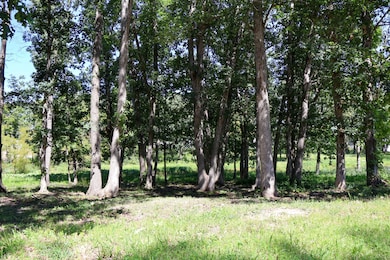 735 Druim Tr, Crown Point, IN 46307 - photo 3