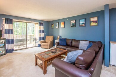 19 Saco St unit 9, Center Conway, NH 03813 - photo 5