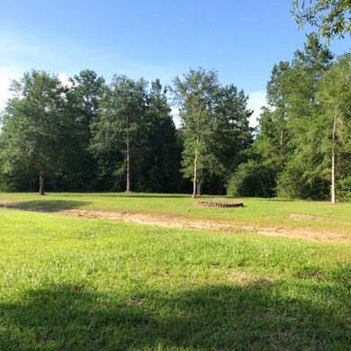 2042 White Buck Ct, Cleveland, TX 77328 - photo 2