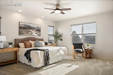 155 Balmoral Way, Colorado Springs, CO 80906 - photo 4