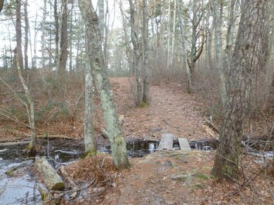 71 Harju Rd, Barnstable, MA 02632 - photo 2