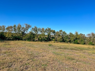Tract #1 Farm To Market 1774, Anderson, TX 77830 - photo 6