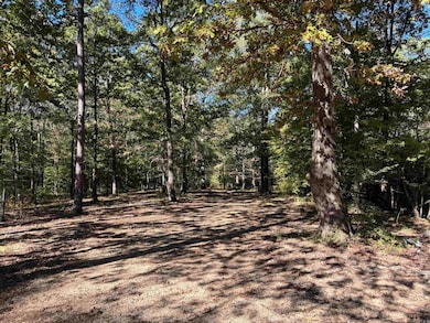 7112 Grant 67, Grapevine, AR 72057 - photo 7